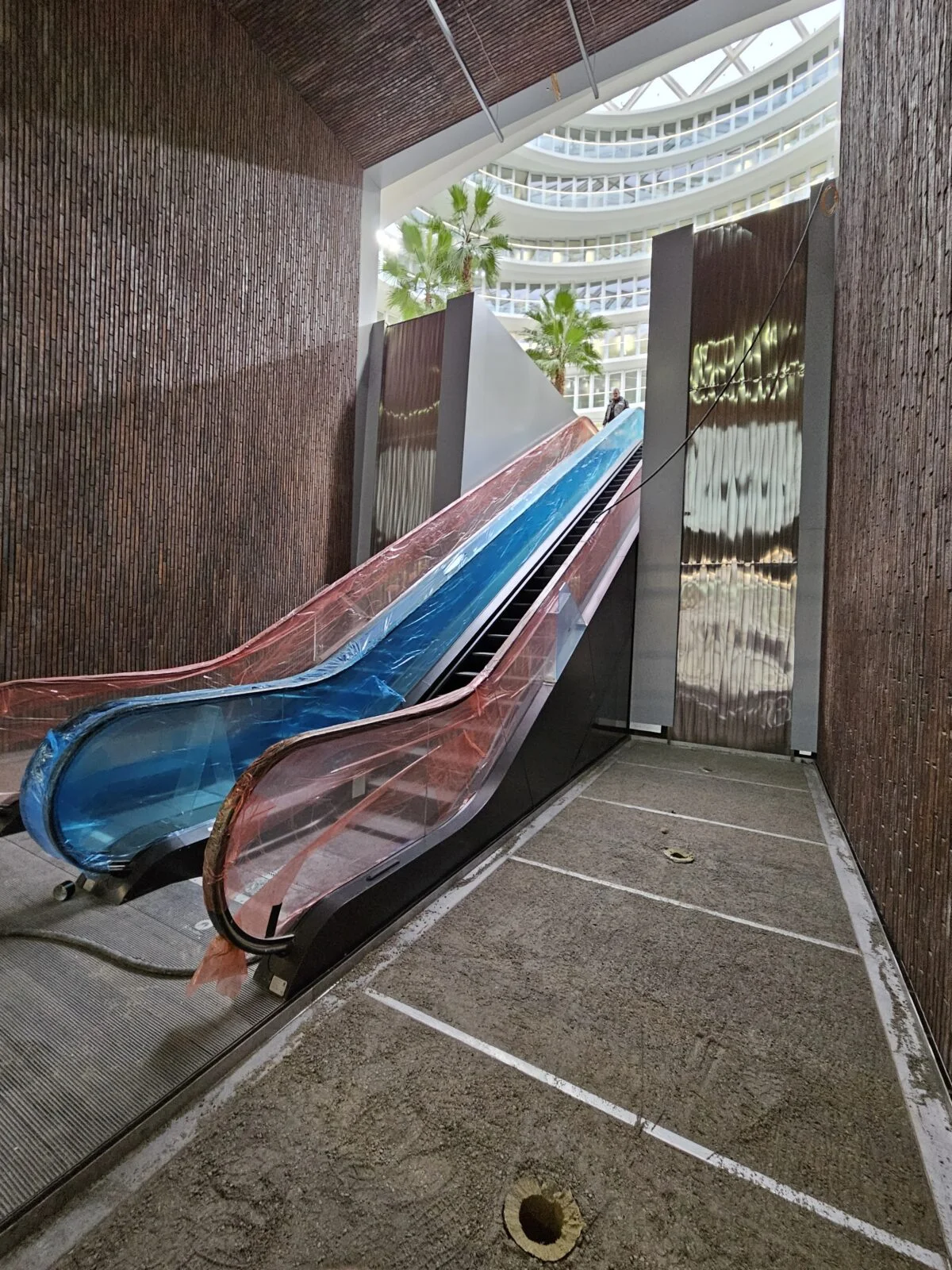 20240208_093125-1200x1600